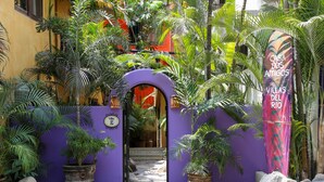 A narrow pathway leading to a building entrance, surrounded by lush tropical plants and a purple wall. - Villas del Rio: 1BR/1BA with dipping pool 1 block from the beach. (Sayulita)