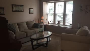 电视、壁炉、DVD 播放器