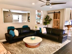 Smart TV, fireplace, books