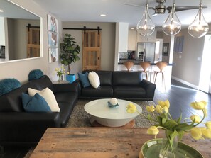 Smart TV, fireplace, books