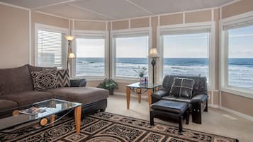 TV connectée, cheminée, jeux vidéo, lecteur de DVD