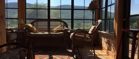 Fireplace, books, music library, stereo