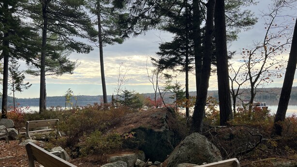 A bench and a fire pit in a forested area with a lake view. - Cozy Haven: A Lakeside Cottage Near Acadia (Orland)