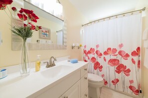 Duschwanne, Haartrockner, Handtücher, Seife