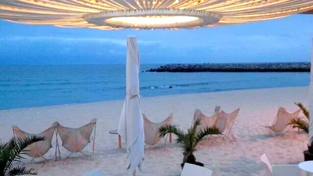 A beachside restaurant with outdoor seating, a view of the sea, and a unique ceiling design.