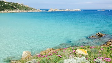 Plage, chaises longues