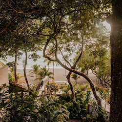 Vue sur la plage/l’océan