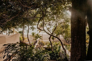 Cedro Espino | Strand-/havudsigt