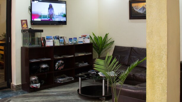 A modern living room with a television, bookshelves, a sofa, and a potted plant. - Sankata Hotel & Apartment (Kathmandu)