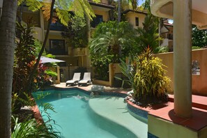A pool area with lounge chairs and a palm tree.