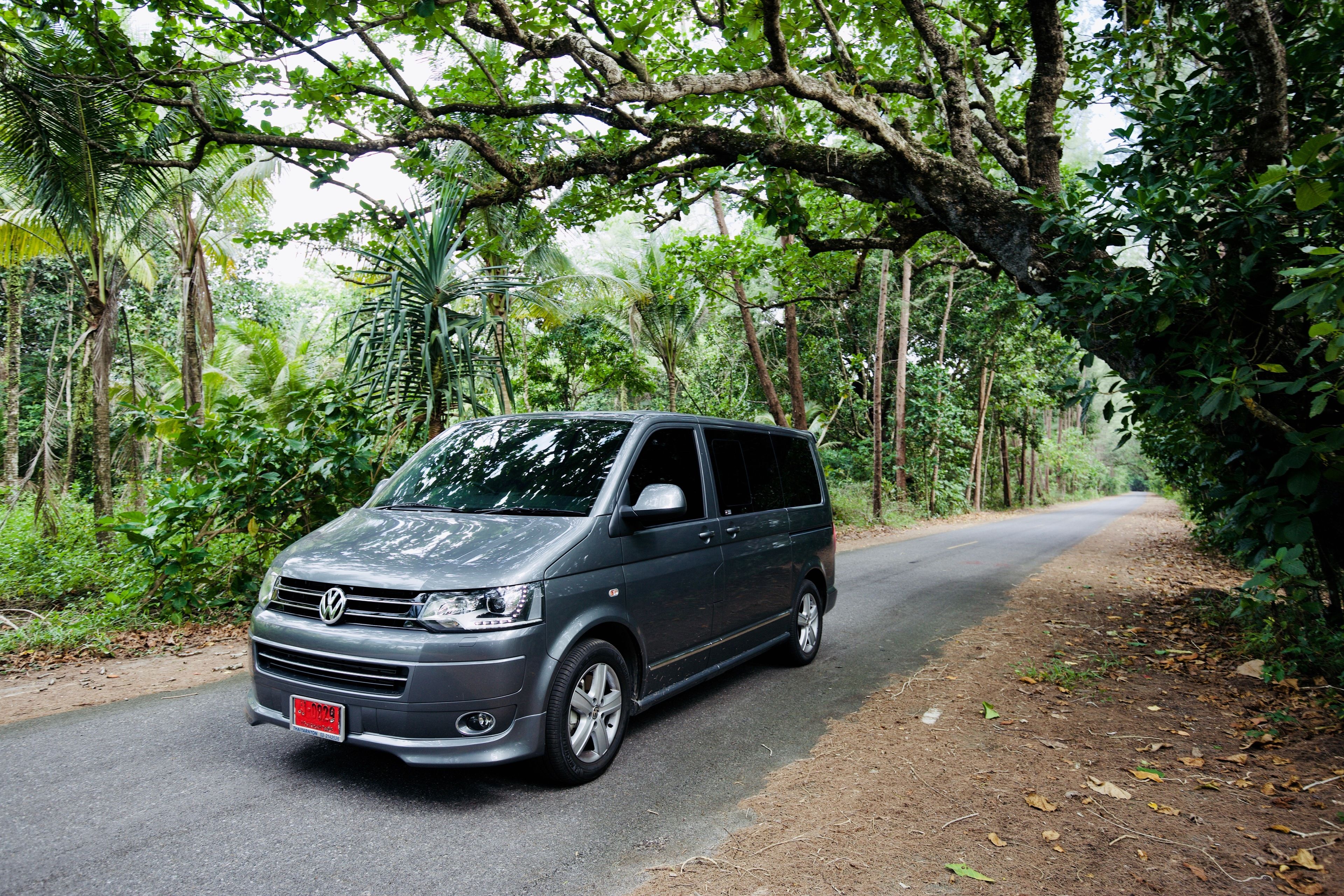 A gray Volkswagen van parked on a rural road surrounded by dense greenery.
