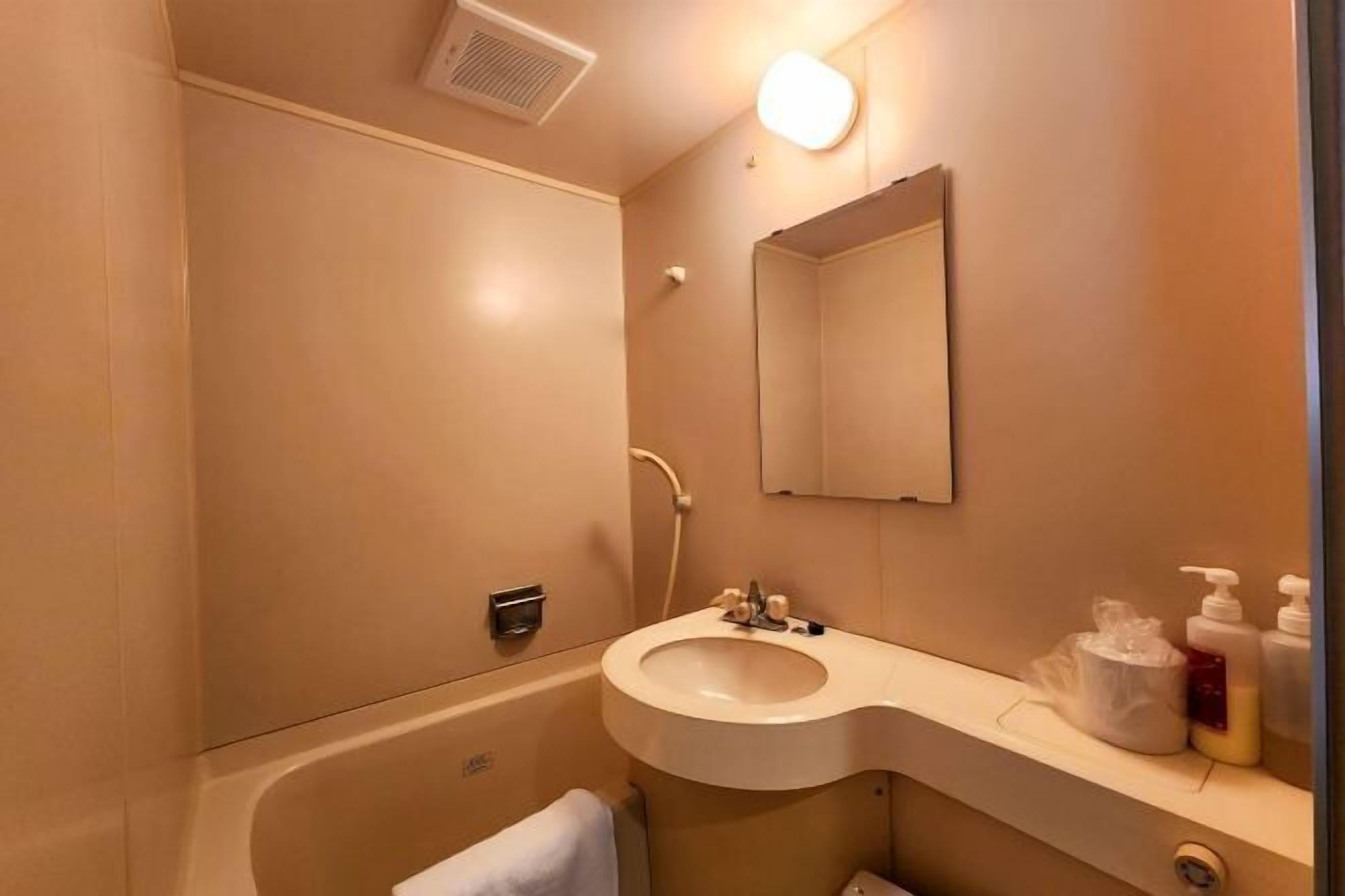 Bathroom | Combined shower/tub, free toiletries, hair dryer, slippers