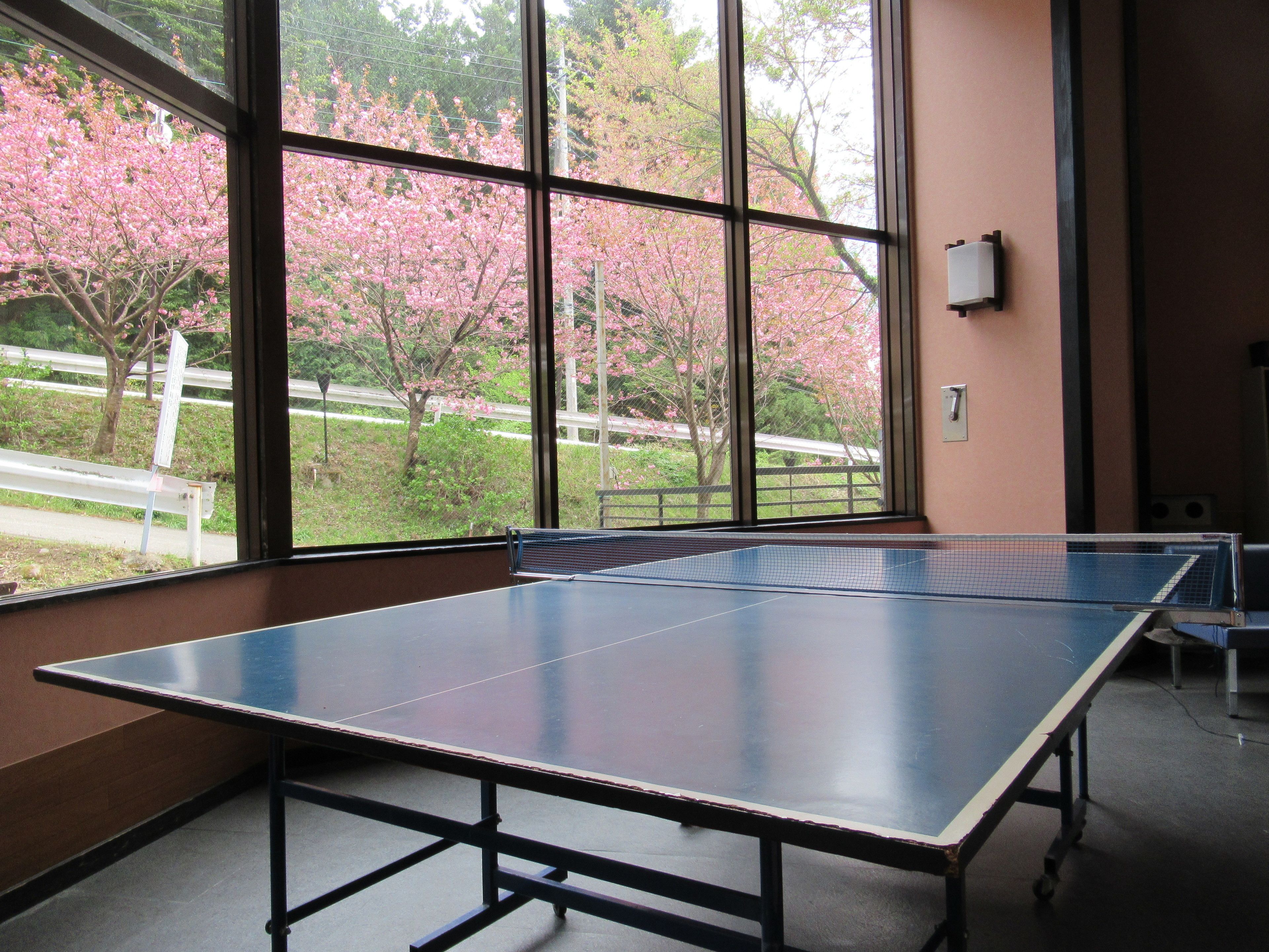 A ping pong table in a room with large windows overlooking a garden with pink blossoms.