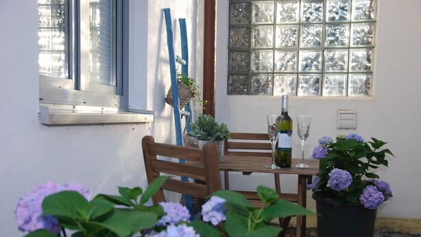 Comedor con una mesa, sillas, una planta en maceta y una ventana con vistas.