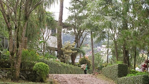 Un sendero bordeado por setos y árboles bien cuidados, que conduce a un edificio de estilo arquitectónico tradicional.