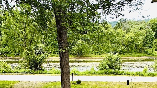 A glass table with two muffins and two mugs on a wooden deck with a view of a pond and trees.