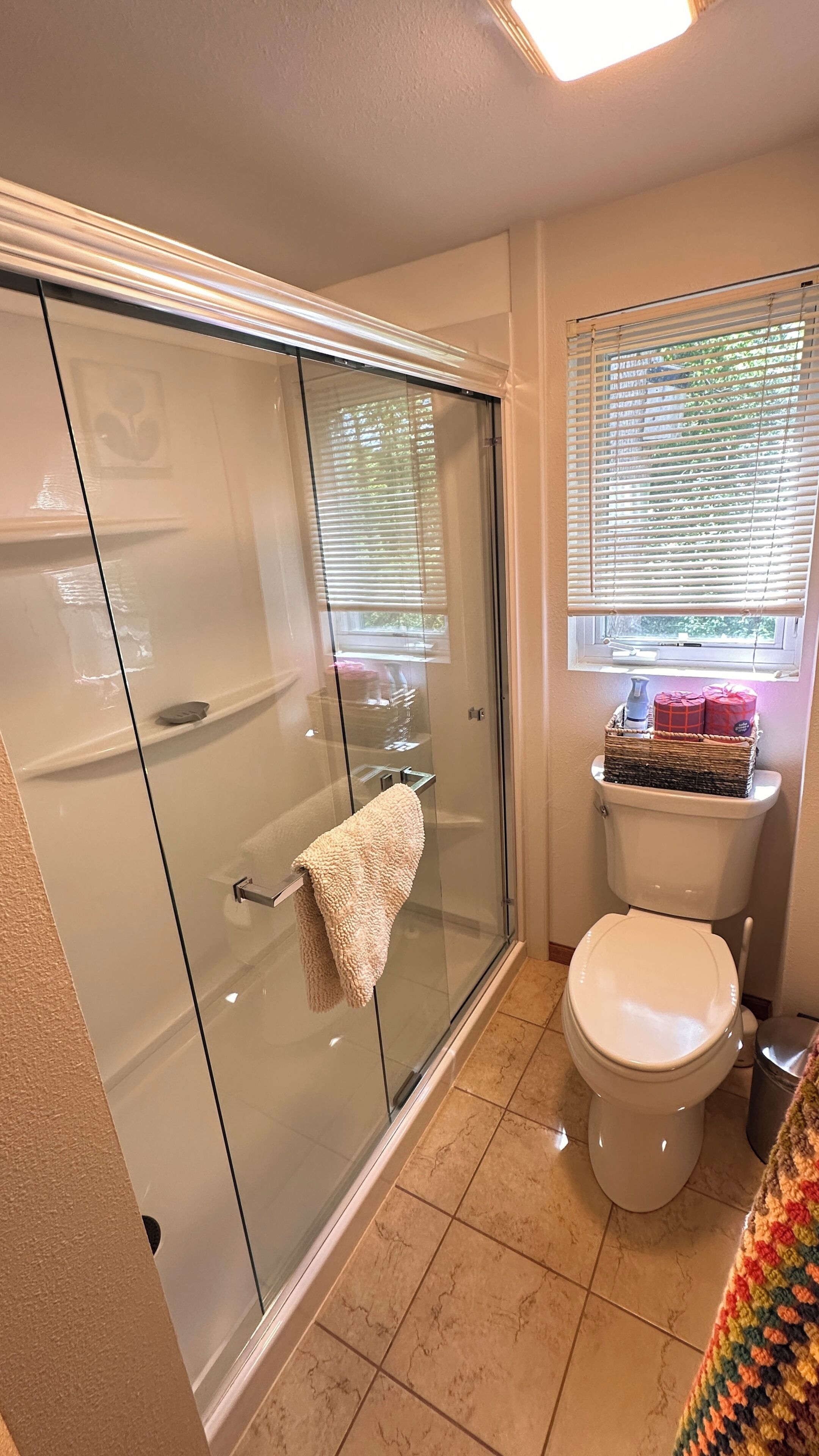 Combined shower/tub, hair dryer, towels, soap