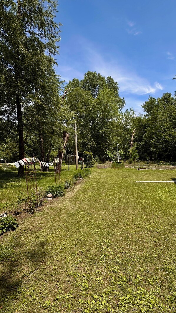 Un espace extérieur verdoyant, avec des arbres, un fil à linge et une structure métallique.