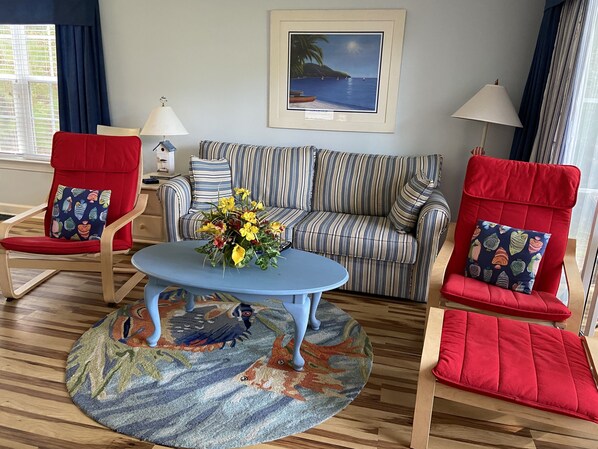 Flat-screen TV, DVD player, books