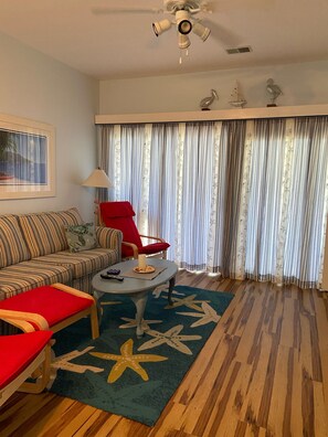 Flat-screen TV, DVD player, books