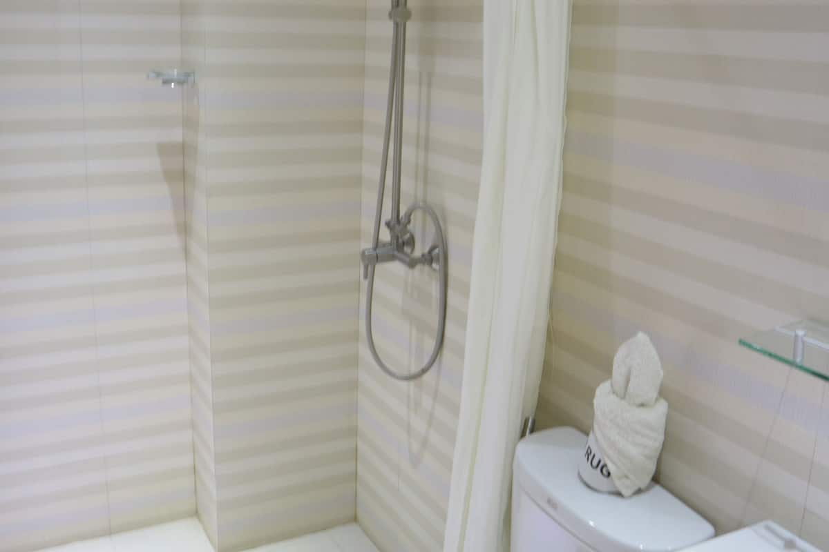 shower, free toiletries, hair dryer, towels