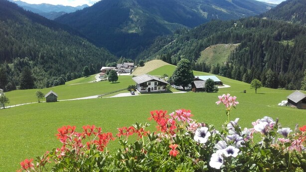 A rural landscape with a house surrounded by green fields and mountains in the background. - Pension Roetelstein (Ramsau am Dachstein)