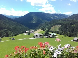 Vista a la montaña