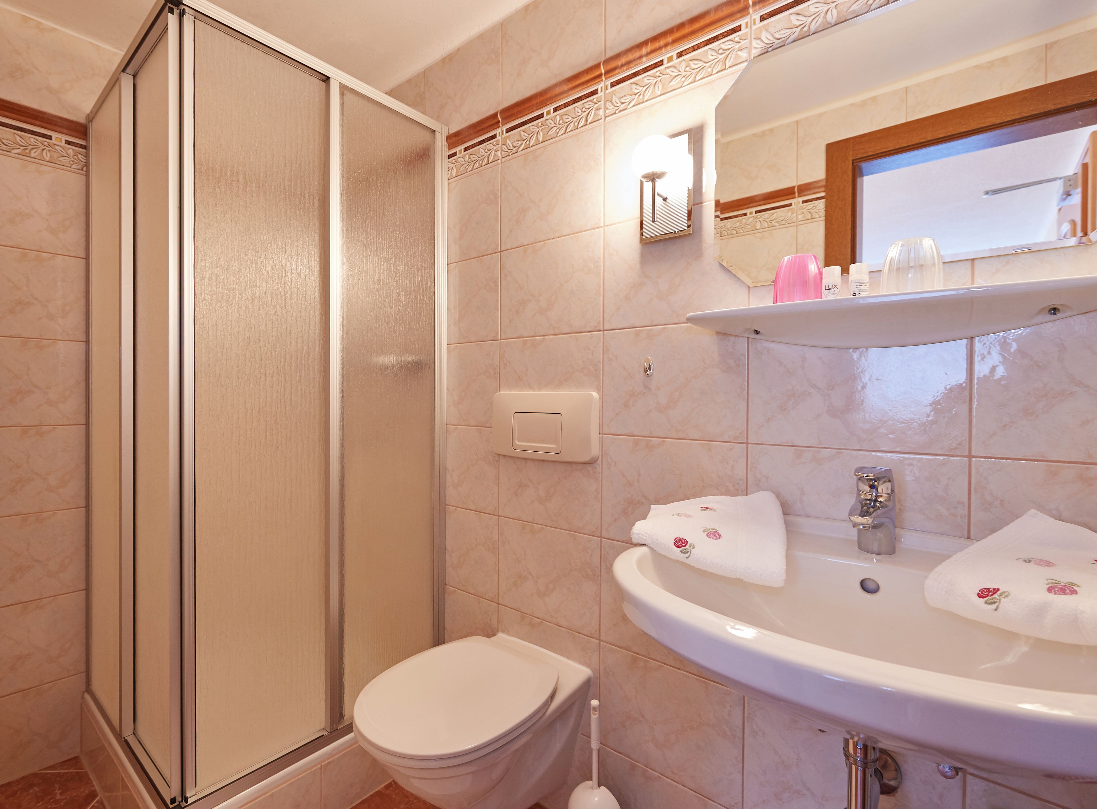 A bathroom with a glass-enclosed shower, a toilet, a sink with a mirror, and a shelf with toiletries.