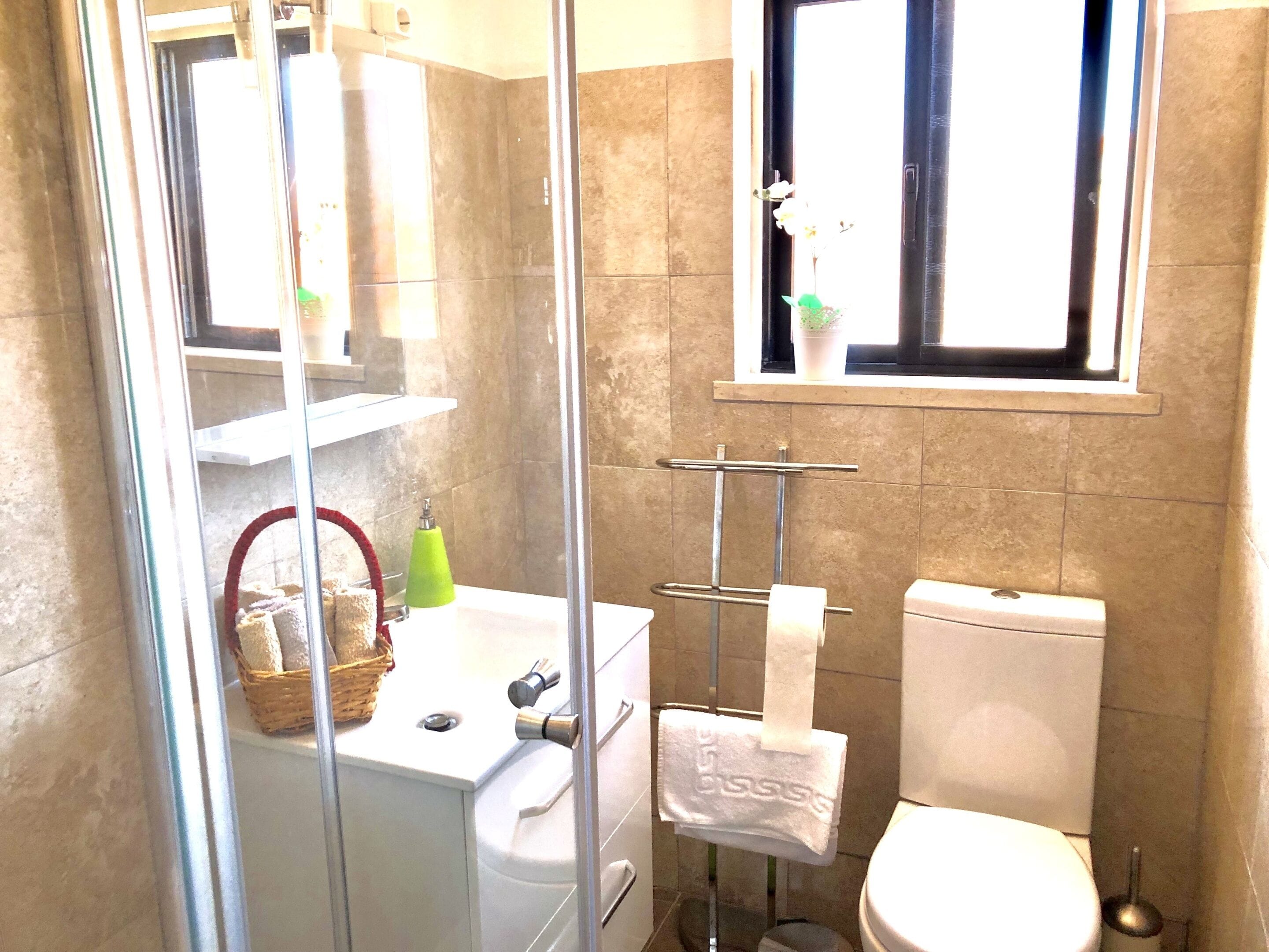 Un baño con cabina de ducha de vidrio, un lavabo con una cesta de toallas, un inodoro y una ventana con planta en maceta.