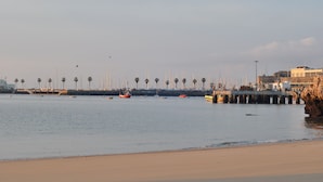 A coastal scene with a sandy beach, a row of palm trees, and several boats anchored near a pier. - Manelisa Cascais (Cascais)