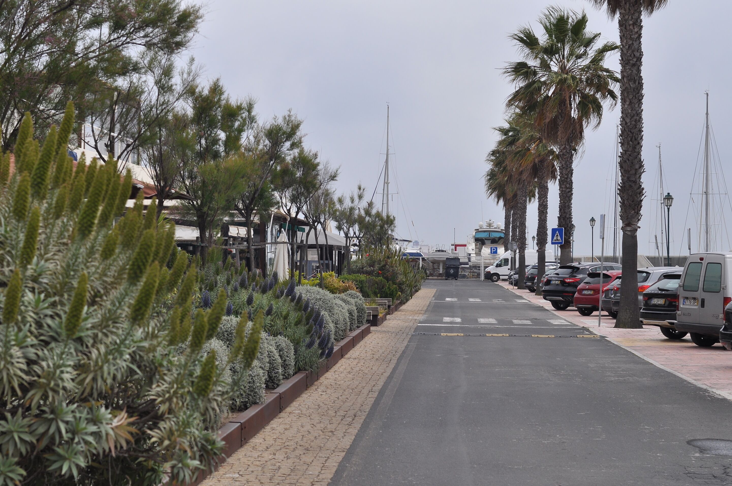 Photo - Manelisa Cascais