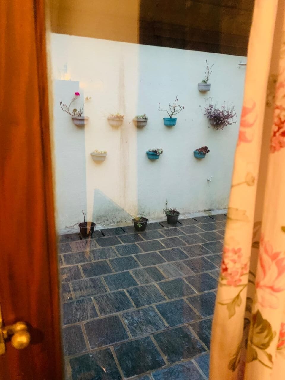 A courtyard with potted plants on a tiled floor, a white wall, and a wooden door.
