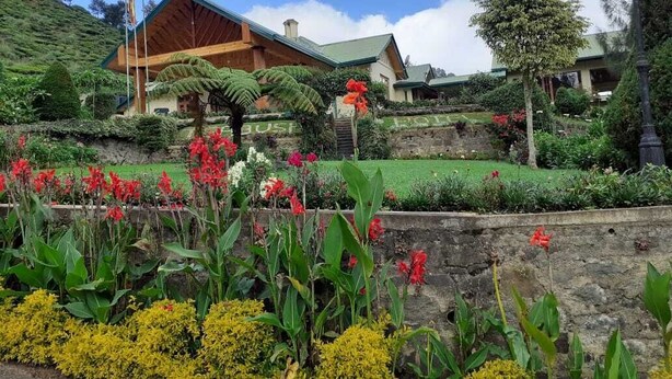 Un edificio con techo inclinado, rodeado por un jardín ajardinado con diversas plantas y flores.