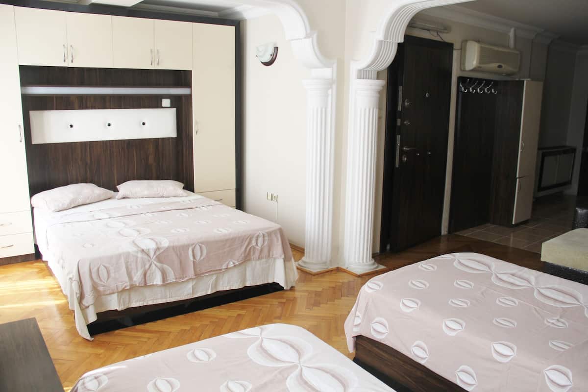 Soundproofing, iron/ironing board, free cribs/infant beds, free WiFi