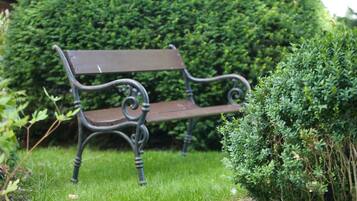A bench in a garden with a hedge in the background.