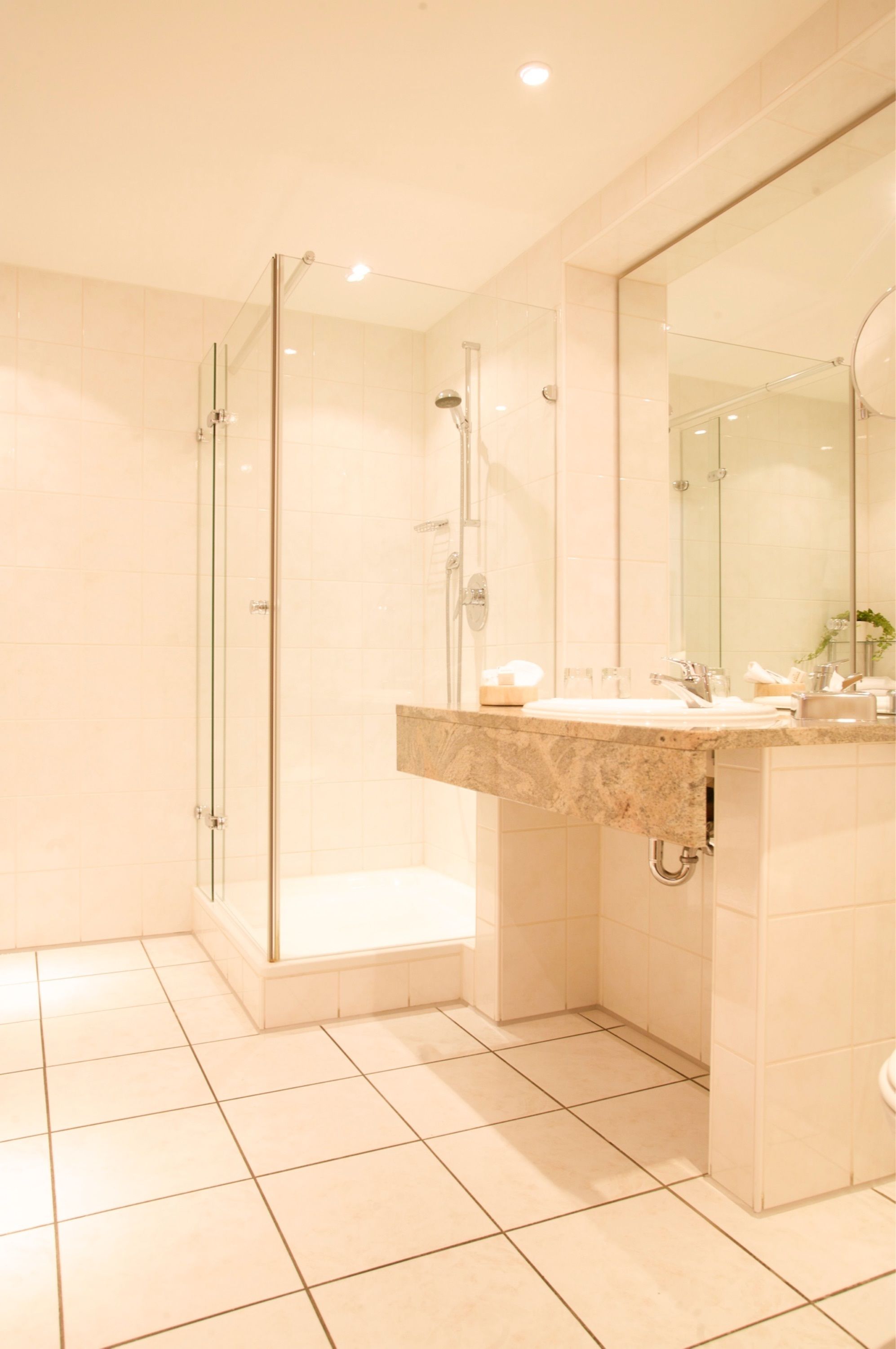 comfort single room, 1 single bed | bathroom | shower, free toiletries, hair dryer, bathrobes
