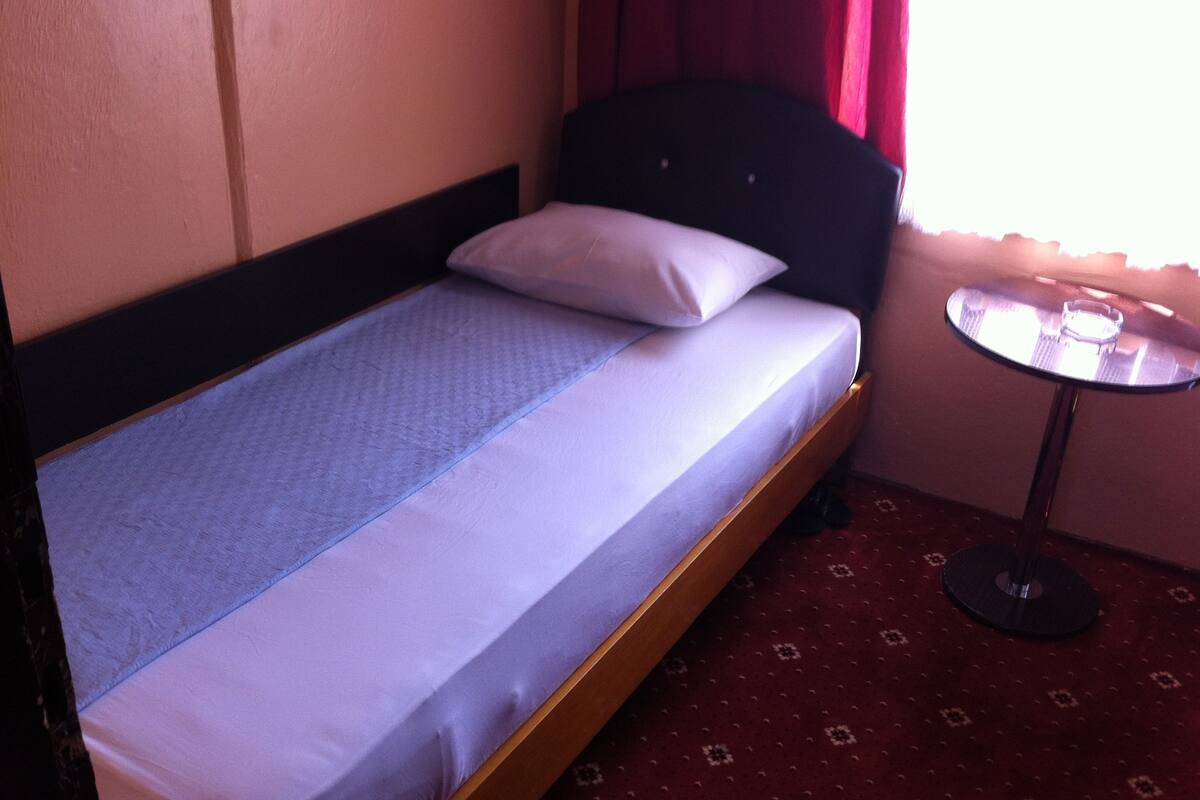 Standard Twin Room | Desk, soundproofing, iron/ironing board (on request), WiFi (free)