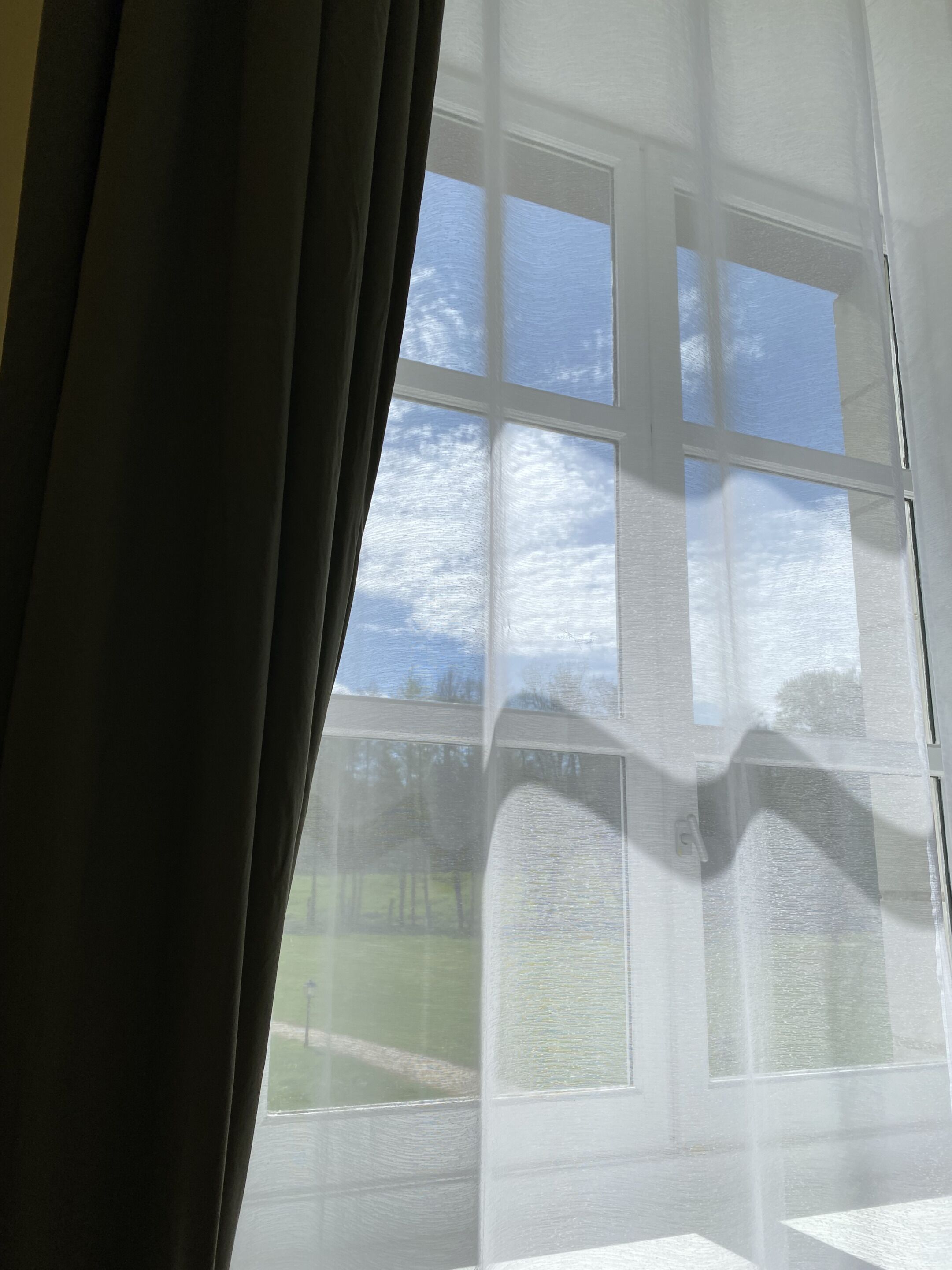 Una ventana con vistas a un edificio y una zona verde.
