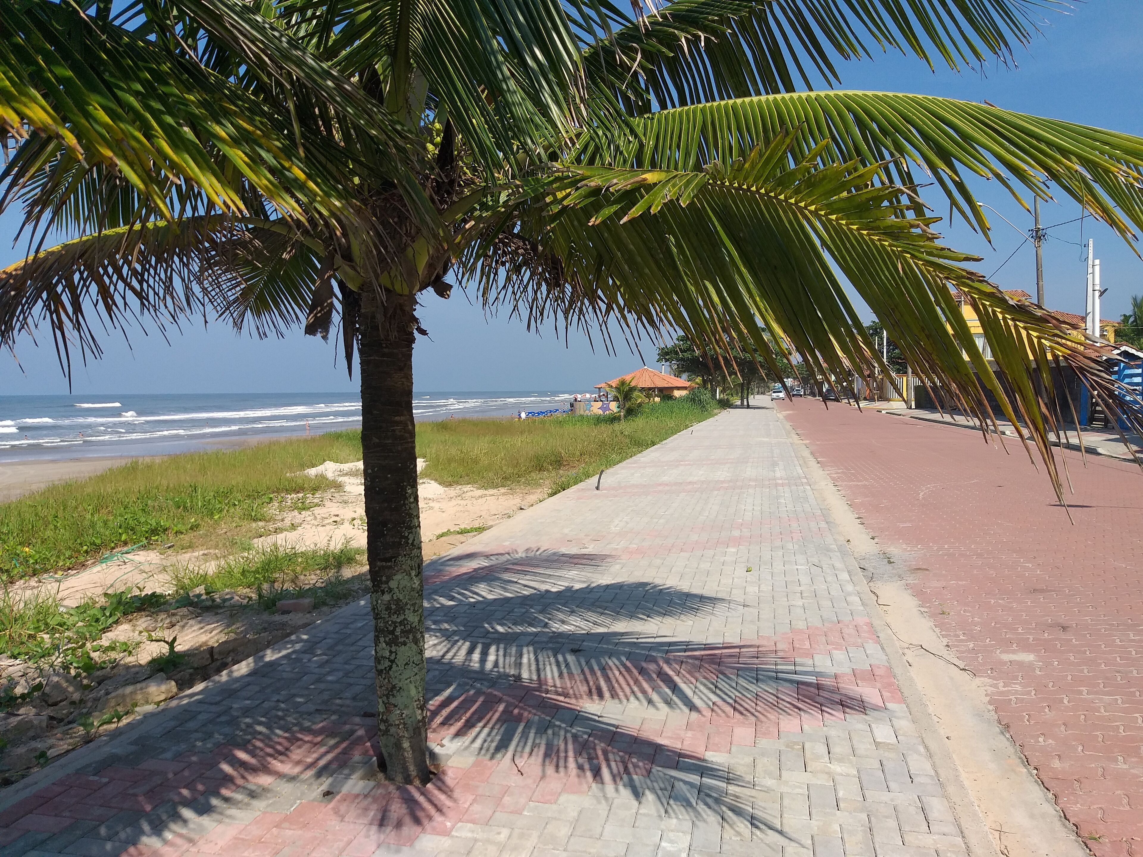 Uma passarela pavimentada com palmeiras, uma praia e um edifício ao fundo.