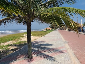 Playa en los alrededores