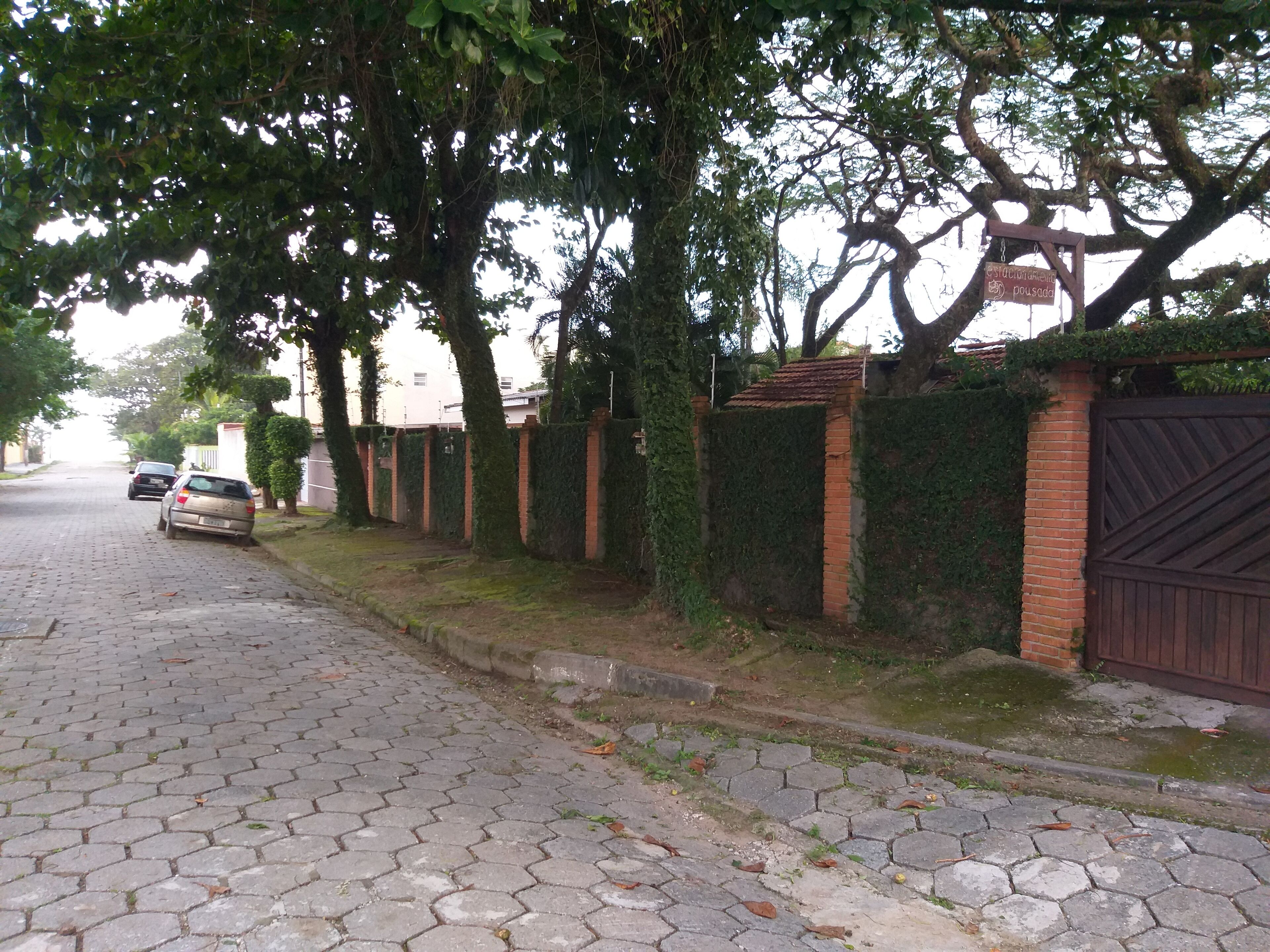 A paved street lined with trees and a brick wall with a gate.