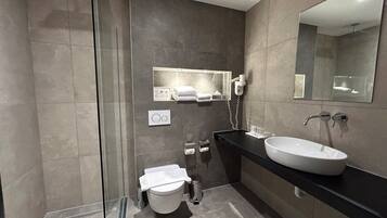 A modern bathroom with a glass shower enclosure, a toilet, a sink, and a mirror.