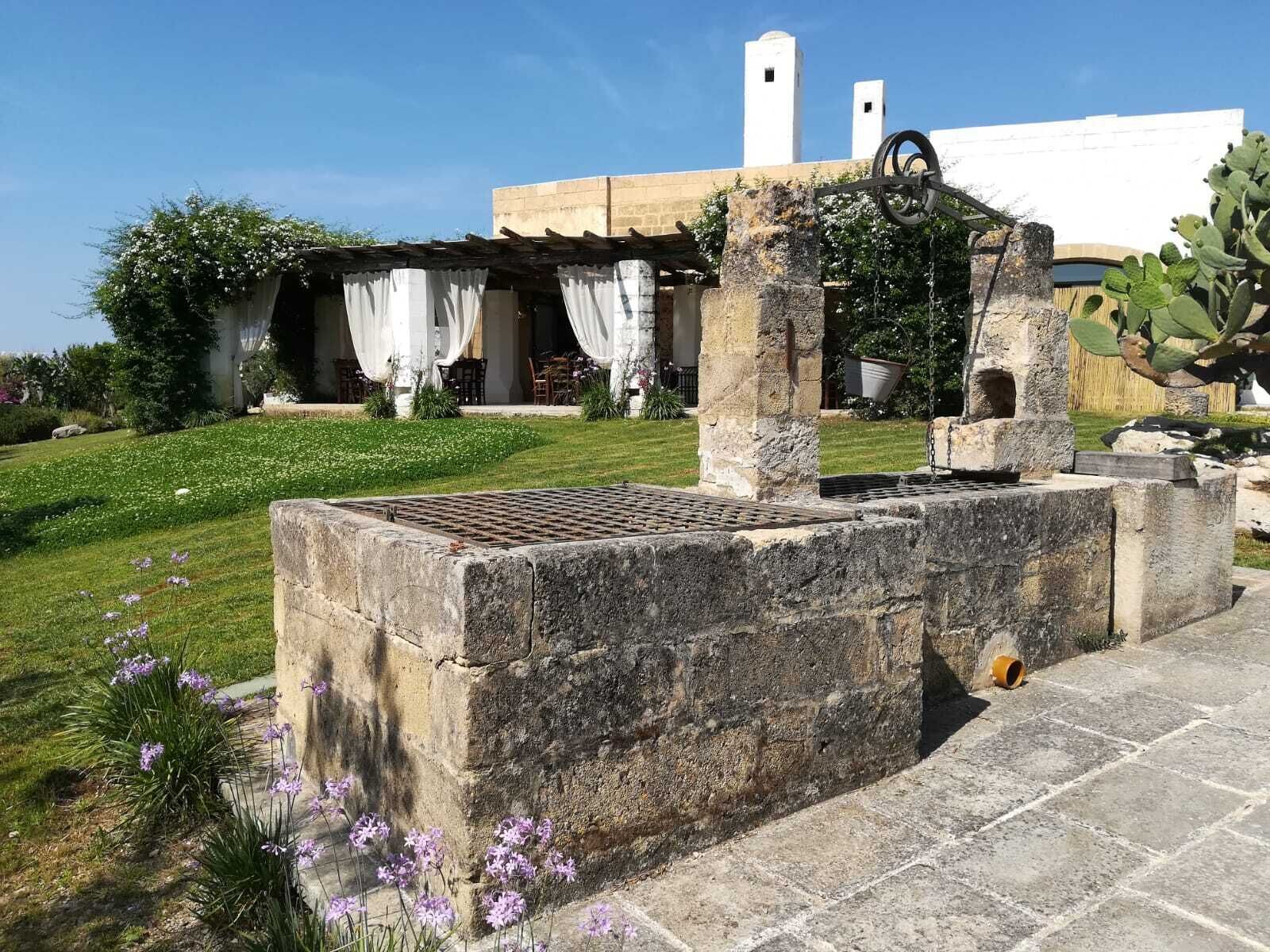 Ein Außenbereich mit einer Steinstruktur, möglicherweise eine Fontäne oder ein Denkmal, umgeben von einer Rasenfläche mit violetten Blumen. Im Hintergrund ist ein Gebäude mit weißen Vorhängen zu sehen.