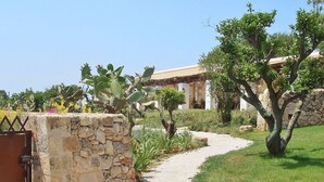 A stone wall, a cactus, and a tree in a garden area.
