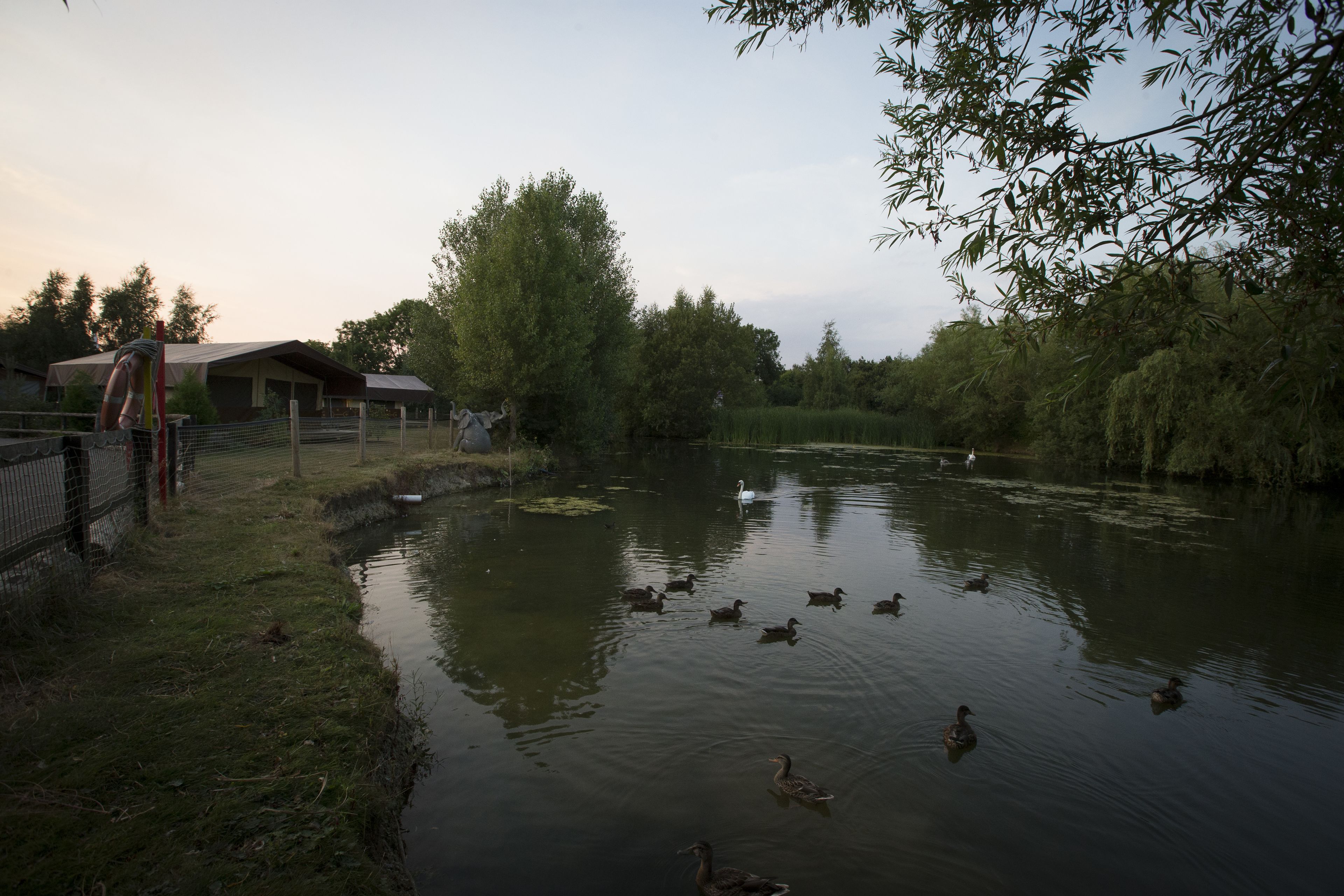 Foto - Adventurer's Village Milton Keynes