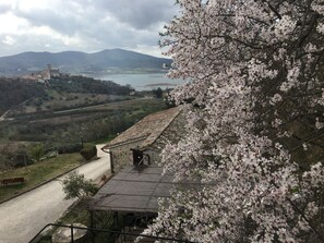 Comfort Apartment, 1 Bedroom, Patio (1st floor) | View from room