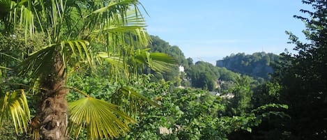 Ausblick vom Zimmer