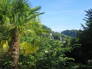 A lush green landscape with a prominent palm tree and dense foliage.