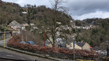Vista di una città con case, un albero imponente e un muro in pietra.