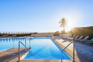 A swimming pool with sunlit water, surrounded by lounge chairs and a palm tree.